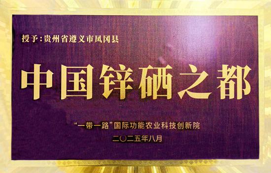 中国锌硒之都牌匾。 中国锌硒之都牌匾。