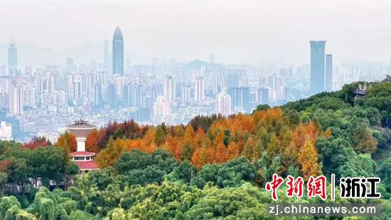 温州城市一景。 温州市综合行政执法局 供图 温州城市一景。 温州市综合行政执法局 供图