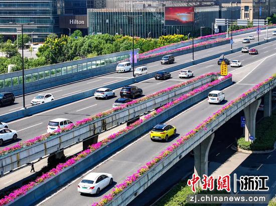 城市道路绿化景观。 温州市综合行政执法局 供图 城市道路绿化景观。 温州市综合行政执法局 供图