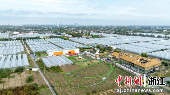 南浔”红美人“柑橘种植基地。胡丰盛 摄 南浔”红美人“柑橘种植基地。胡丰盛 摄