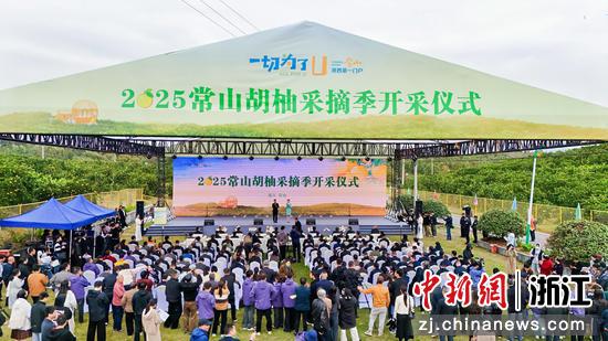 11日,活动现场。常山官方 供图 11日,活动现场。常山官方 供图