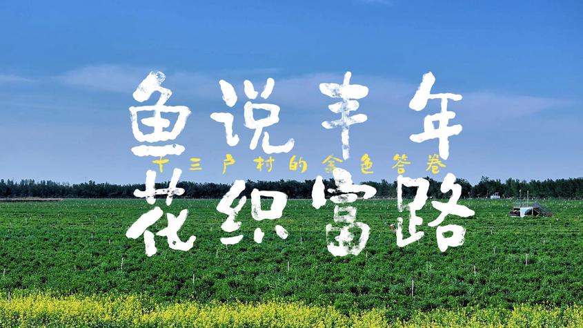 魚(yú)說(shuō)豐年 花織富路——昌吉市六工鎮(zhèn)十三戶(hù)村的金色答卷