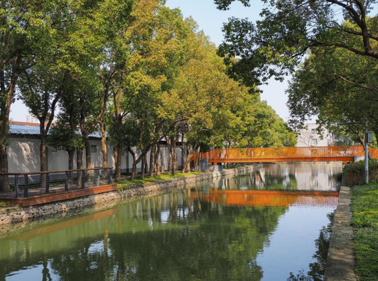 整治后的环河环境。