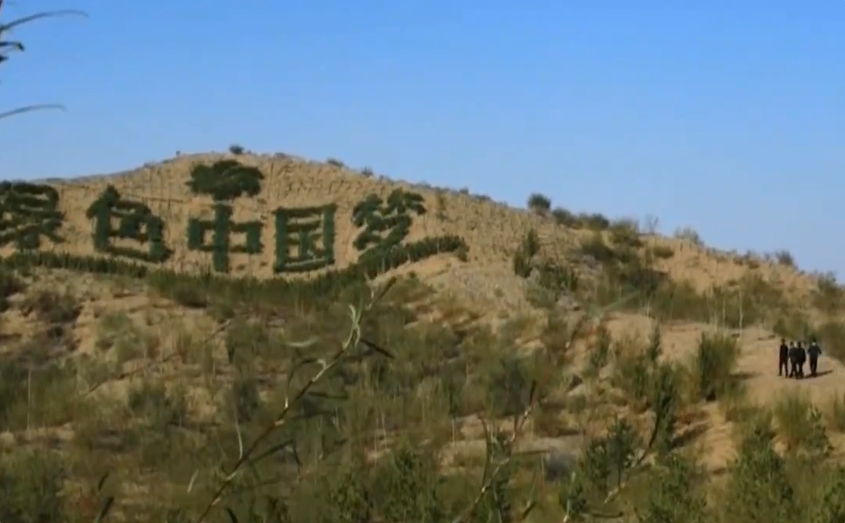 侨乡故事 | 荣成：我很荣幸能成为沙漠“锁边合龙”一员