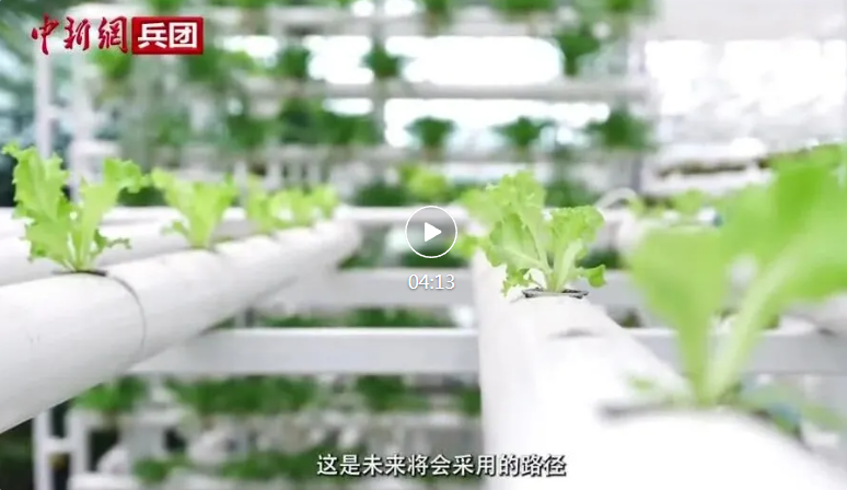 【与你为邻】吉尔吉斯斯坦媒体人：中国发展之快让我惊讶