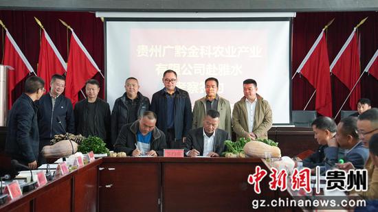 产业集中签约仪式 产业集中签约仪式