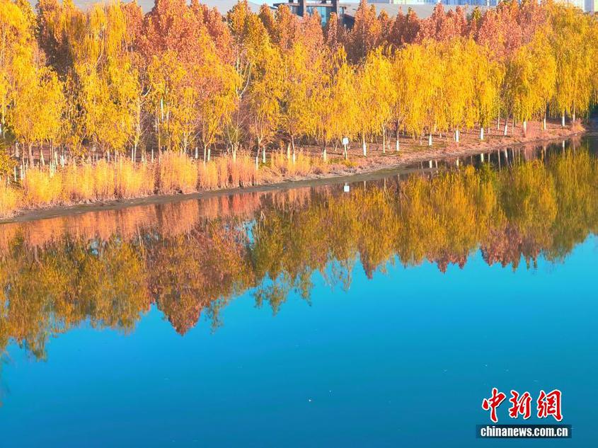 初冬新疆阿克苏市多浪河如“流动画卷”