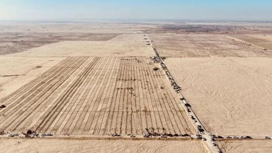 和田县2025年冬季义务植树点。