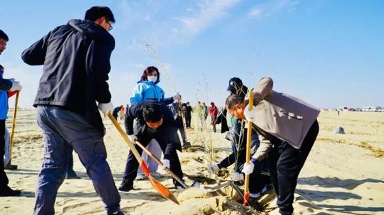 现场一片热火朝天的劳动景象。