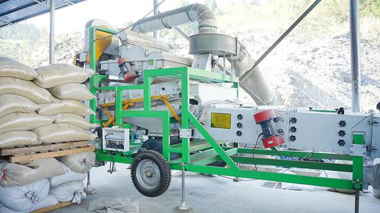 精选机正在运行。邹小朋 摄