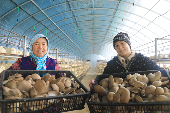 251e5d33b1e2d27c3038e3dccf9c7a55