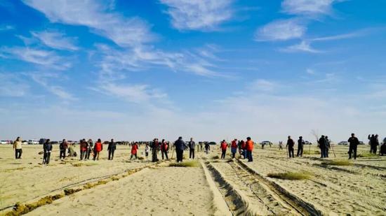 党员干部群众及志愿者踊跃参与冬季义务植树。