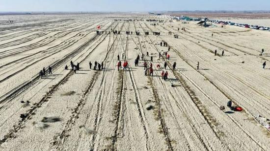 航拍镜头下的和田县冬季义务植树现场。