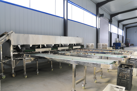 e50a3dbeaa7269a613315189be741487