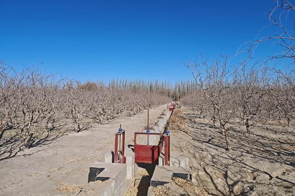日前,若羌县瓦石峡镇吾塔木村、乌都勒吾斯塘村防渗渠建设完成验收。该项目彻底解决了两村64户256名村民的灌溉难题。王勇强 摄 日前,若羌县瓦石峡镇吾塔木村、乌都勒吾斯塘村防渗渠建设完成验收。该项目彻底解决了两村64户256名村民的灌溉难题。王勇强 摄