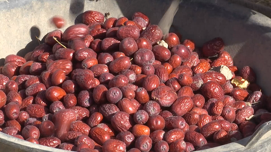 9c83e3c2c3dffed6b971276bd5cbeefb