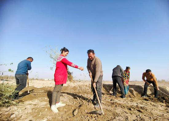 cc6d0784ea44bfa0a890d060f809a746