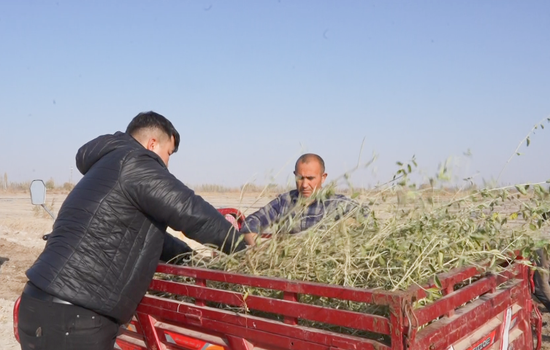 f25296b0c2bd2e2373e014f10886af13