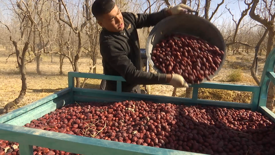 dc8e7d1a09339f08f478d752f48cae08