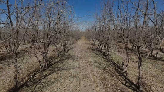 94b75a9fdcbce957c8f8ef495df2537f