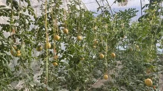 32f9e8e1fc40df78c0577a485d1099fd