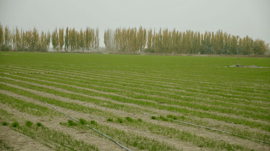 8e7792ed6df6d1ae6730f66da21e14e0