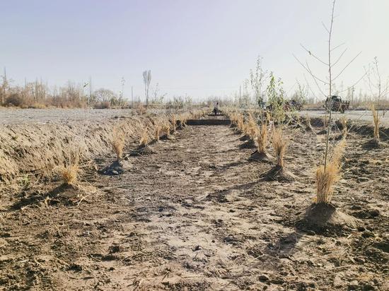 867d513efeb7846fdcb71aab76e6d02d