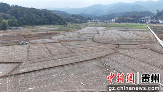 贵州省剑河县南明镇大坝羊肚菌种植基地连片的新建大棚已初具规模。彭开燚 摄 贵州省剑河县南明镇大坝羊肚菌种植基地连片的新建大棚已初具规模。彭开燚 摄