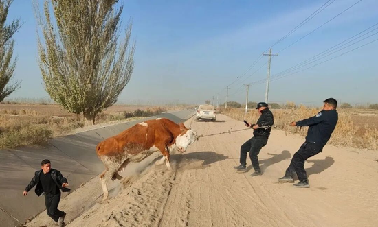 0a8f57636a51faab0f6246be0c1af2a4