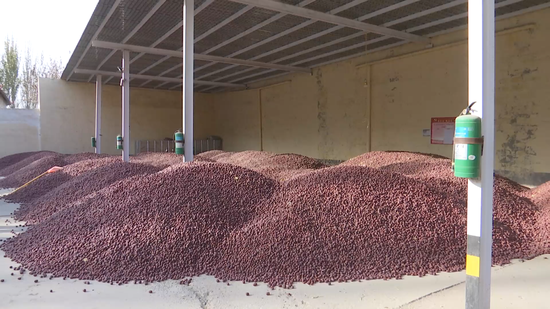 9289e9e4d3b01c3288dbedff50e4641f