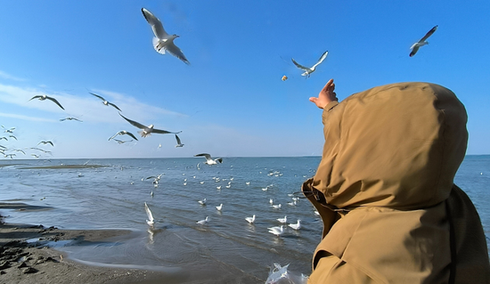 8835b97e588c8e6ad9e4d022422cae6a