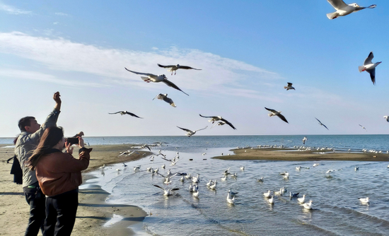 4eab843e0d49a6dd5d6f37caef9f4c9f