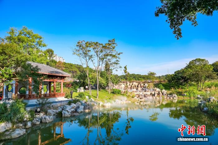 广西三家单位联合筹备创建南宁国家植物园