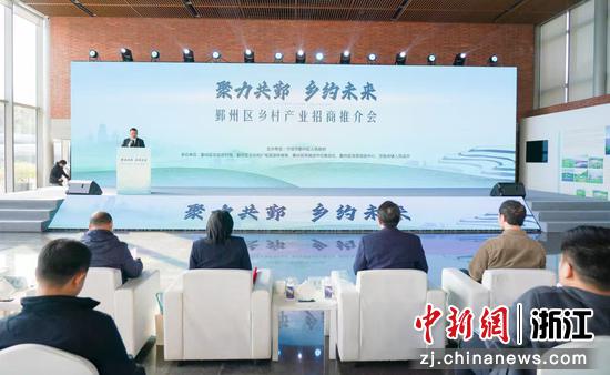 活动现场。鄞州区官方 供图 活动现场。鄞州区官方 供图