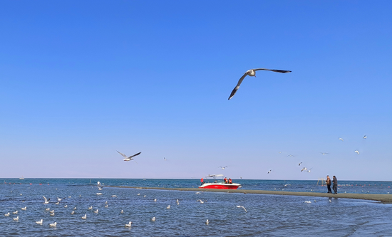 e912973773cfc669a120e092f2bdc292