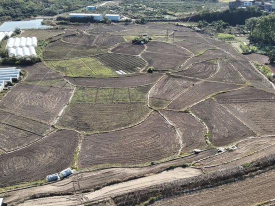 茂井镇田土翻犁一角