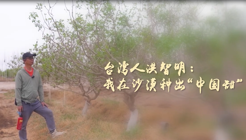 侨乡故事 | 台湾人洪智明：我在沙漠种出“中国甜”