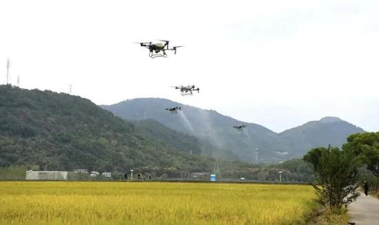 桐庐县委宣传部供图