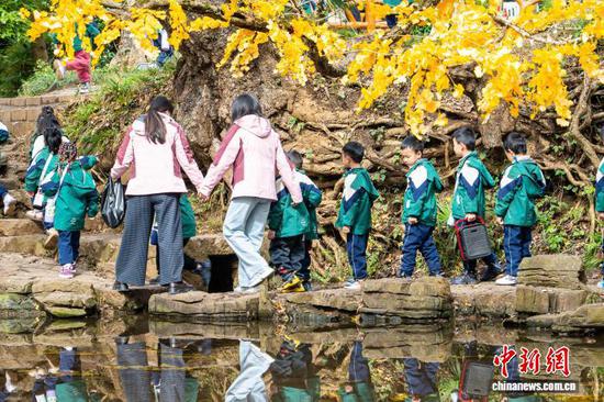 11月20日，贵州省盘州市石桥镇妥乐村吸引学生前来游玩。阳茜 摄