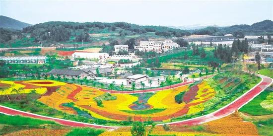 贵州农信用金融“画笔”助力乡村写好“花卉篇章”