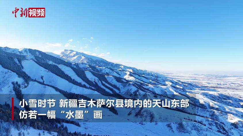 小雪时节 东天山白雪与松林交织仿若“水墨”画