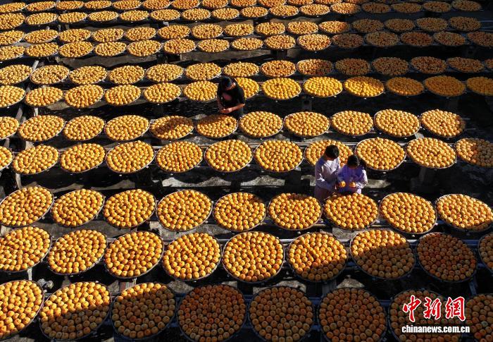 广西恭城：晴好天气晒柿忙