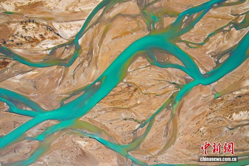 新疆阿克苏：托什干河湿地河道蜿蜒 犹如大地脉络