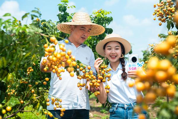 5G助农直播打通产销链路。区弘哲 摄 5G助农直播打通产销链路。区弘哲 摄