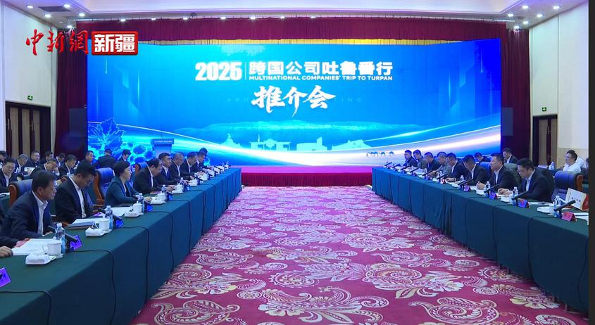 “2025跨国公司吐鲁番行”产业招商座谈会硕果丰