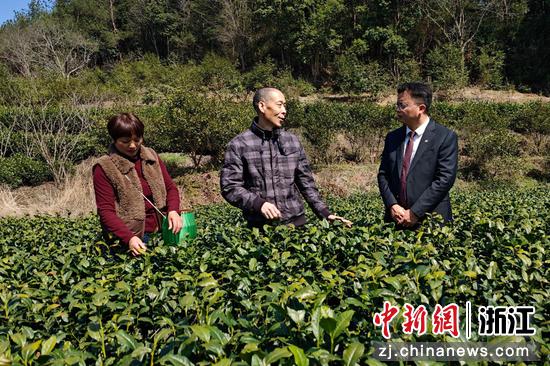 浙商银行工作人员向缙云先云尖茶叶厂负责人了解金融需求和经营情况。 浙商银行 供图 浙商银行工作人员向缙云先云尖茶叶厂负责人了解金融需求和经营情况。 浙商银行 供图