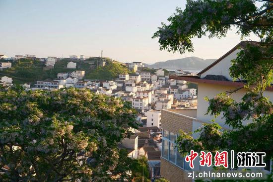 舟山一景。舟山官方供图 舟山一景。舟山官方供图