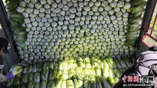 双坪乡安山村蔬菜装车准备运送出去。谢永奇 摄 双坪乡安山村蔬菜装车准备运送出去。谢永奇 摄