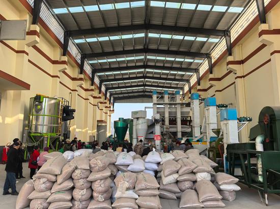 农户们排队交粮。王玺 摄 农户们排队交粮。王玺 摄