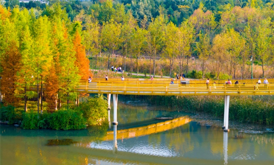 明湖湿地公园。贵州日报天眼新闻记者 尚宇杰 摄